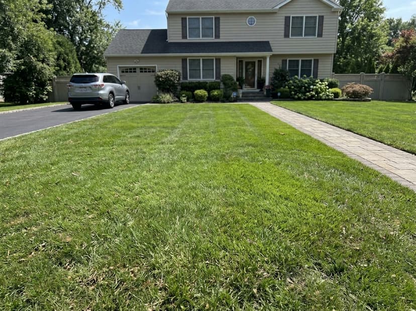 After - Stump Grinding