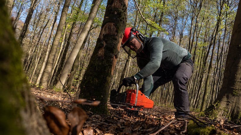 Emergency Tree Services