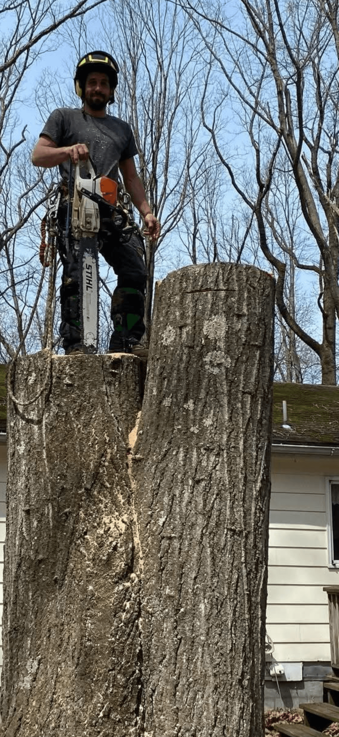 Owner of Total Tree Service